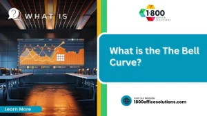 What is the The Bell Curve?