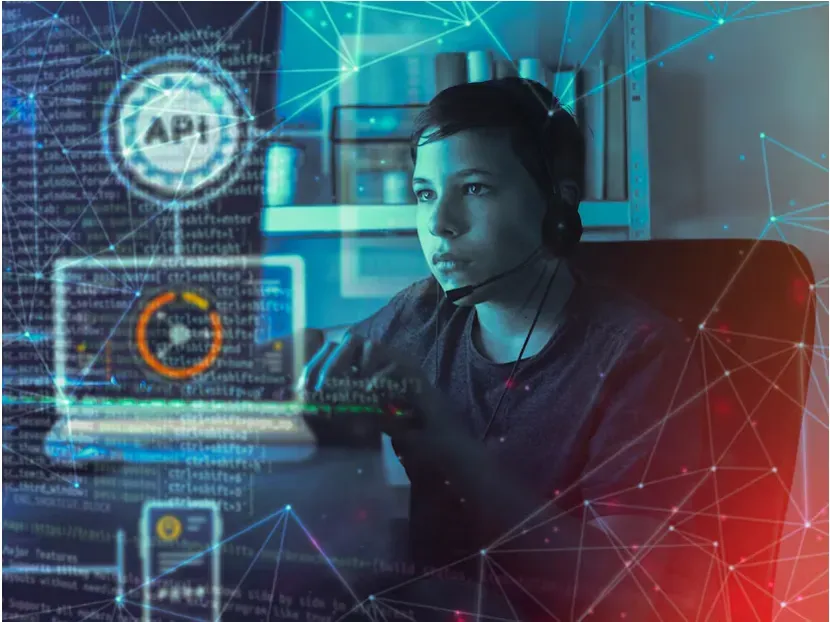 IT Programmer Workstation