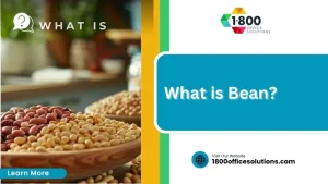 What is Bean?