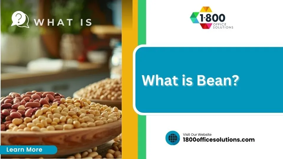 Bean
