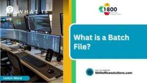 What is a Batch File?