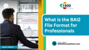 What is the BAI2 File Format for Professionals